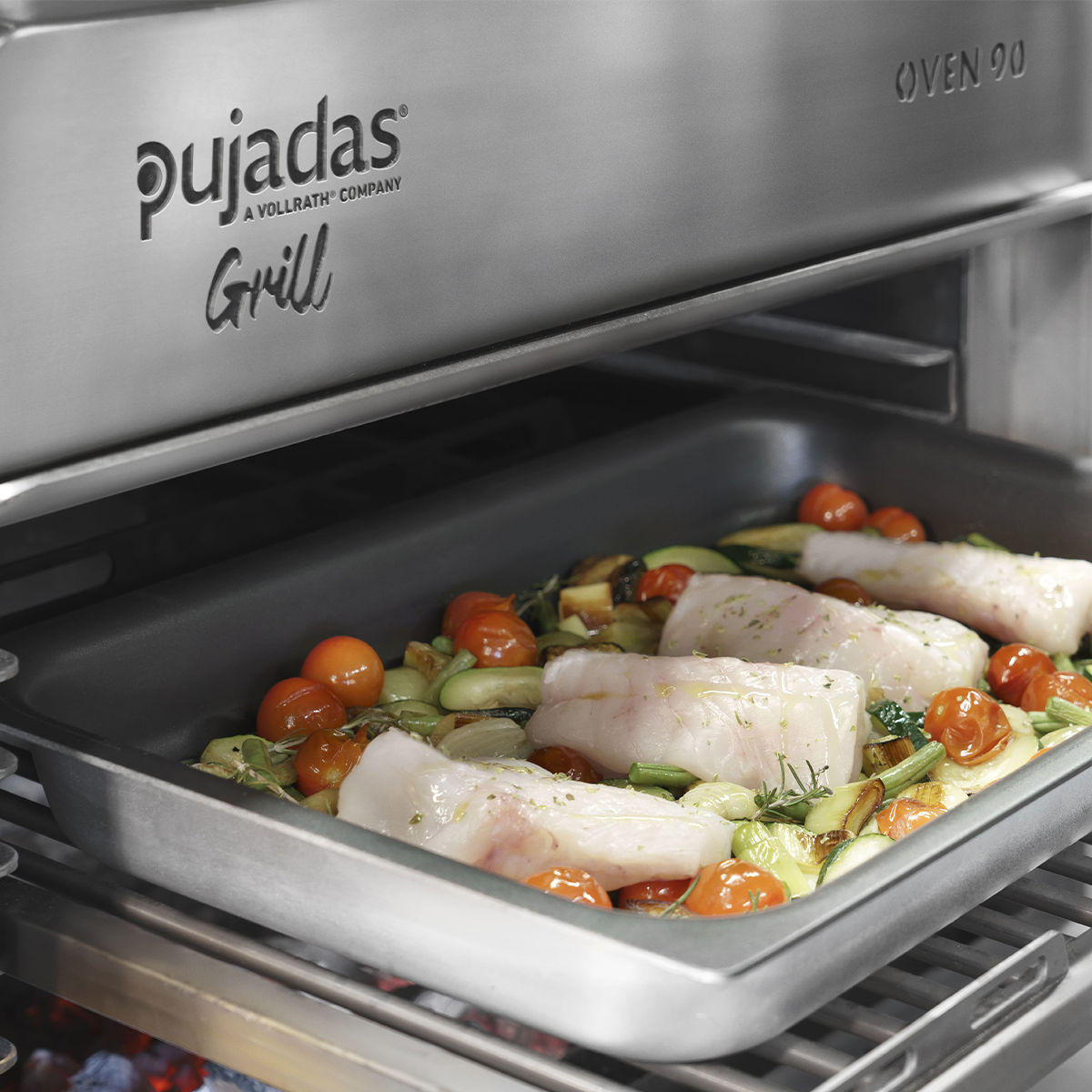 Pujadas Charcoal Countertop Oven 85090 cooking fish